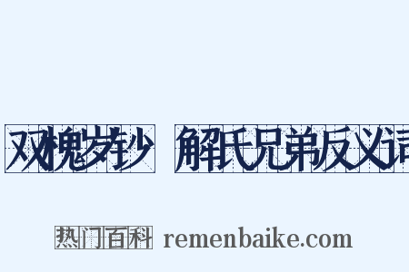 双槐岁钞·解氏兄弟反义词是什么意思的图片